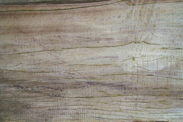 Abstract art antique wood texture decoration background