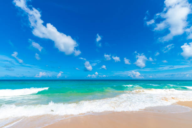 istock Sea wave beach sunny day Andaman sea 1208065305