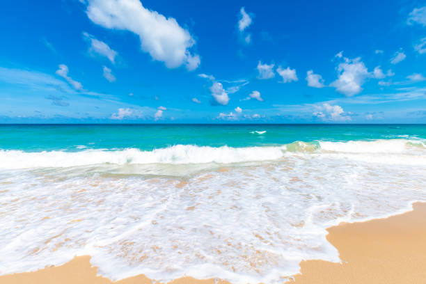 istock Sea wave beach sunny day Andaman sea 1208065318