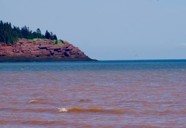 istock Bay of Fundy 1208066716