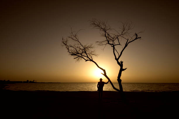 Silhouette lonely man standing with dead tree on the beach looking to the ocean over sunset sky background, Bahrain.