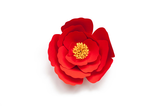 Paper art and cutout handmade red flower on isolated white background.
