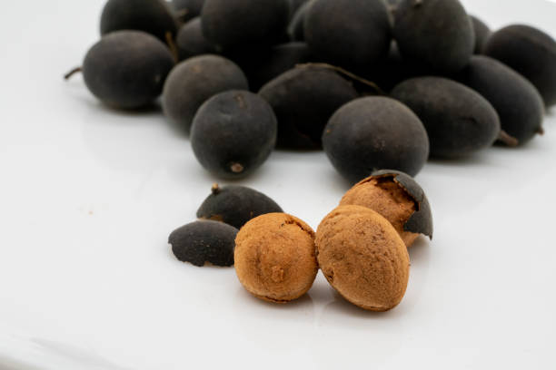 istock Dried Black Dialium with shell and half open isolated on white background. Traditional tropical fruit. Velvet tamarind. 1208075524