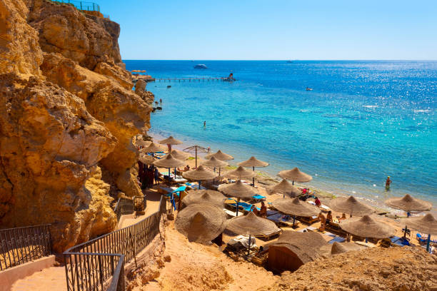 reefs on red sea beach resort in egypt - hotel tourist resort luxury tropical climate imagens e fotografias de stock