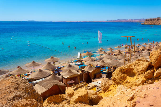 istock Reefs on Red sea beach resort in Egypt 1208082131