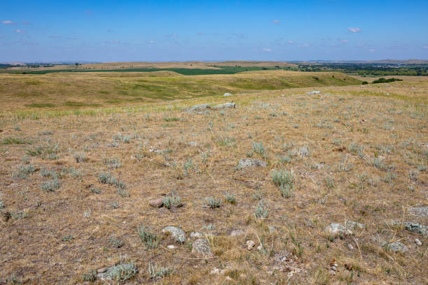 istock Empty grass weed field in the plains with a clear blue sky in North America 1208082224