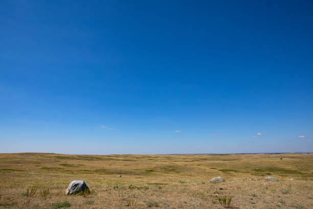 istock Empty grass weed field in the plains with a clear blue sky in North America 1208082241