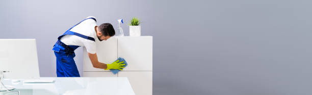 istock Man Cleaning Furniture With Spray Bottle 1208088048
