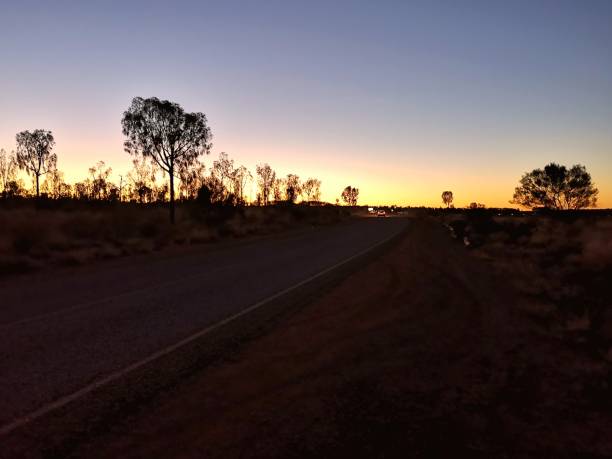 istock Dusk on the desert, Northern territory, Australia 1208096488