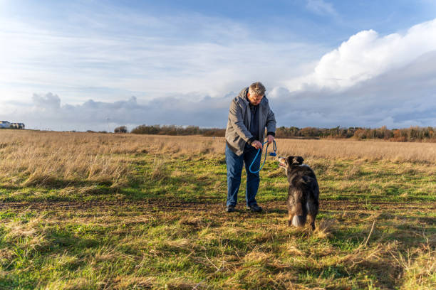 istock Man on grassland with border collie 1208098907