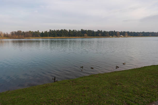 Lake Idroscalo at evening, Idroscalo park in winter day,Milan Italy