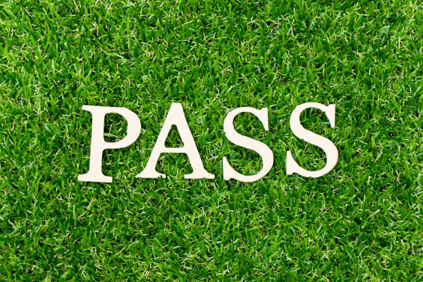 istock Wood letter in word pass on green grass background 1208104001