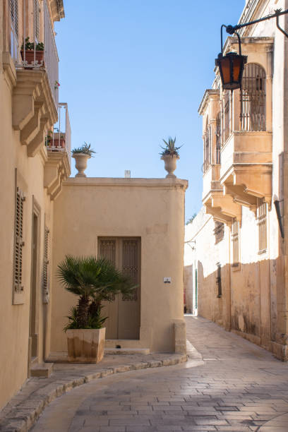 istock Street in Medina with closed balconies 1208108914