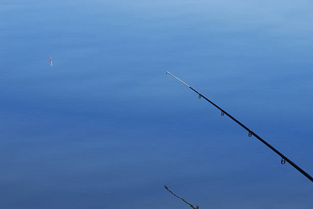 fishing rod stock photo