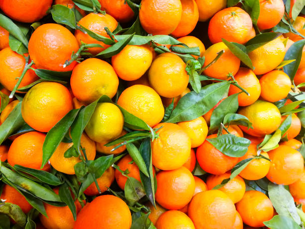 istock Fresh mandarin oranges, in market , background 1208110543