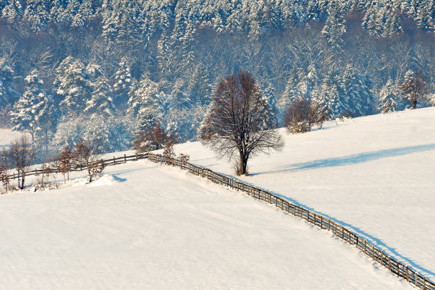 istock Winter landscape with a mountain valley. on sunrise 1208111293