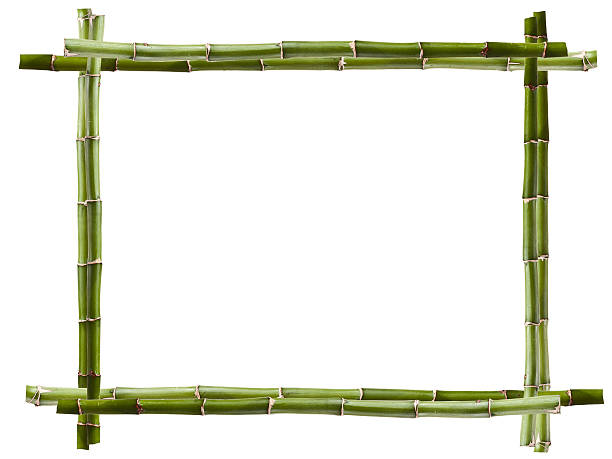 Bastidor de bambú - foto de stock