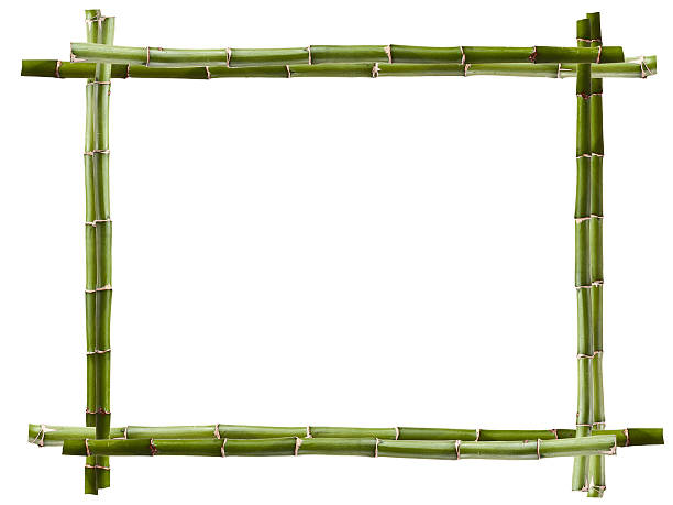 Green bamboo frame on white background stock photo