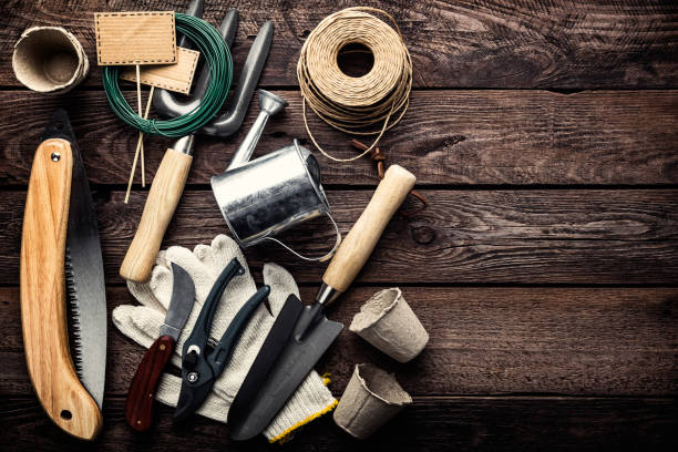 istock gardening tools on dark wooden background with space for text top view 1208112925