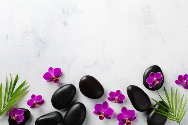 istock Spa composition with flowers, green leaves and massage stone on white background top view. Beauty treatment and relaxation concept. Flat lay. 1208113811
