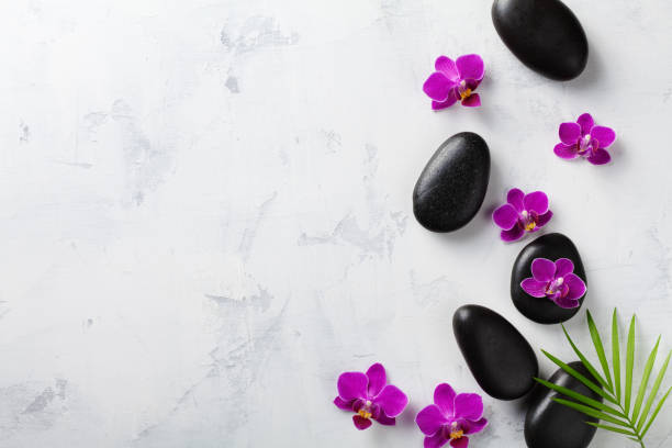 istock Spa composition with flowers, green leaves and massage stone on white background top view. Beauty treatment and relaxation concept. Flat lay style. 1208113919