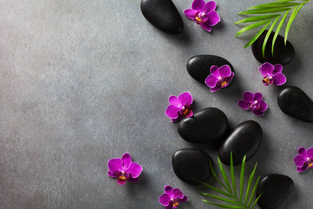 istock Spa composition with flowers, green leaves and massage stone on gray background top view. Beauty treatment and relaxation concept. Flat lay. 1208114021