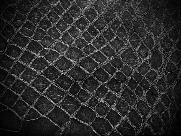 istock snake skin black and white close up 120811594