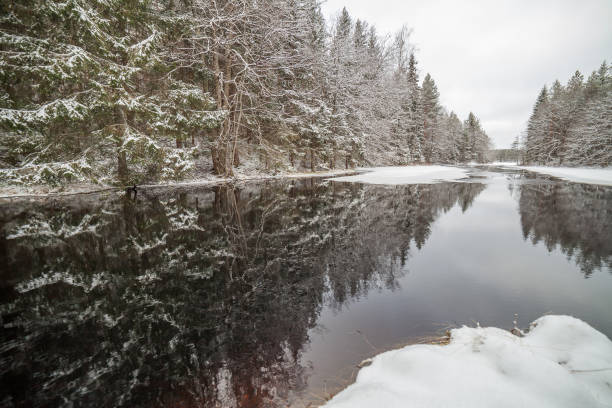 istock forest creek in winter forest. Sweden, long shutter speed. 1208117816