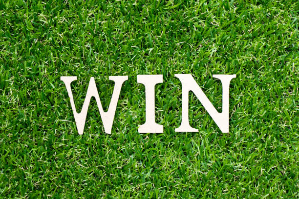 istock Wood letter in word win on green grass background 1208119207
