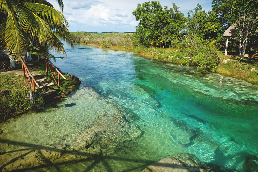 Seven colored lagoon surrounded by tropical plants in Bacalar, Quintana Roo, Mexico photo