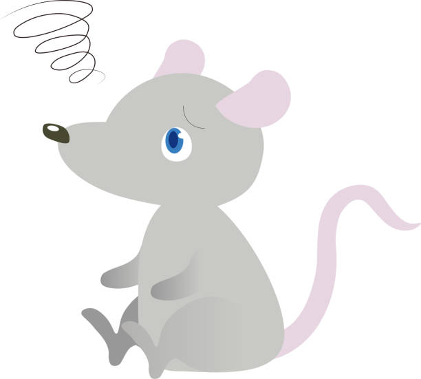 ilustrações, clipart, desenhos animados e ícones de ilustração vetorial de um rato - mouse computer mouse pets white background