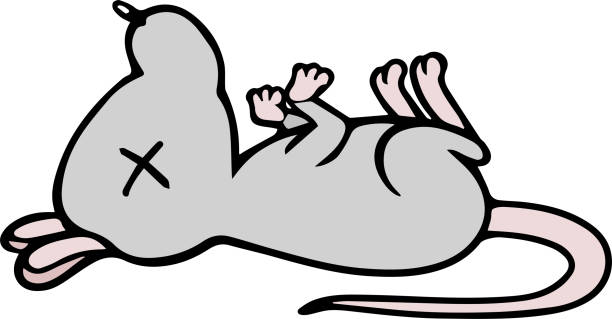 ilustrações, clipart, desenhos animados e ícones de ilustração vetorial de um rato - mouse computer mouse pets white background