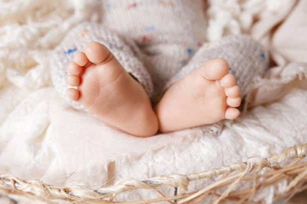 Close up  of new born baby feet on knitted plaid in a wattled basket. Soft newborn baby heel. Baby. Cozy. Family stock photo