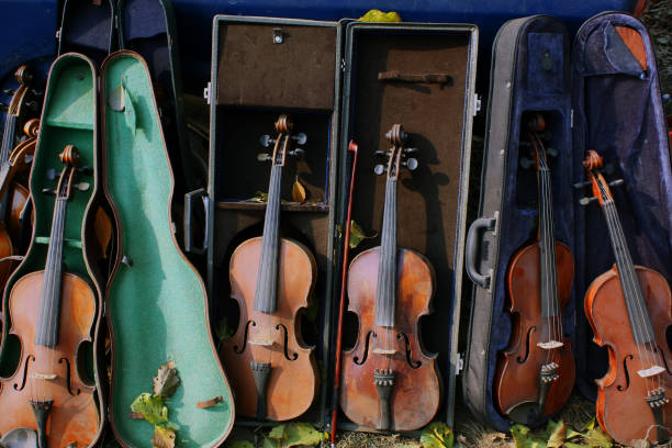 Opened violin cases to display vintage violins for sale. Vintage musical instrument for sale at a fair.