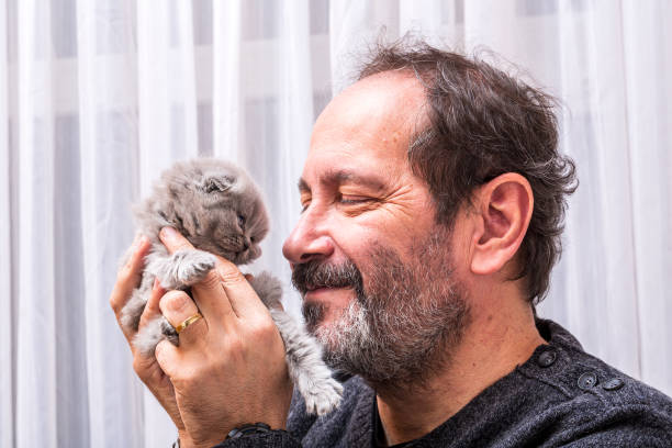 istock Man and real cat love, Newborn Scottish fold kitten 1208130374