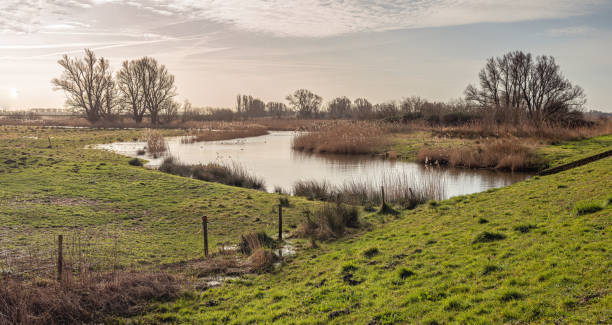 istock At the edge of  Dutch nature reserve BIesbosch 1208131583