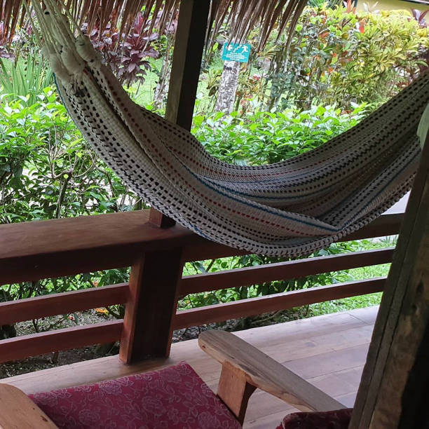 istock a hammock outside the house 1208134282