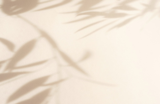 Hojas naturales abstractas sombras de fondo sobre textura de pared de color beige. espacio de copia. tarjeta floral photo
