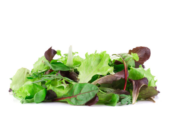 istock Green and red leaf of lettuce. 1208135547
