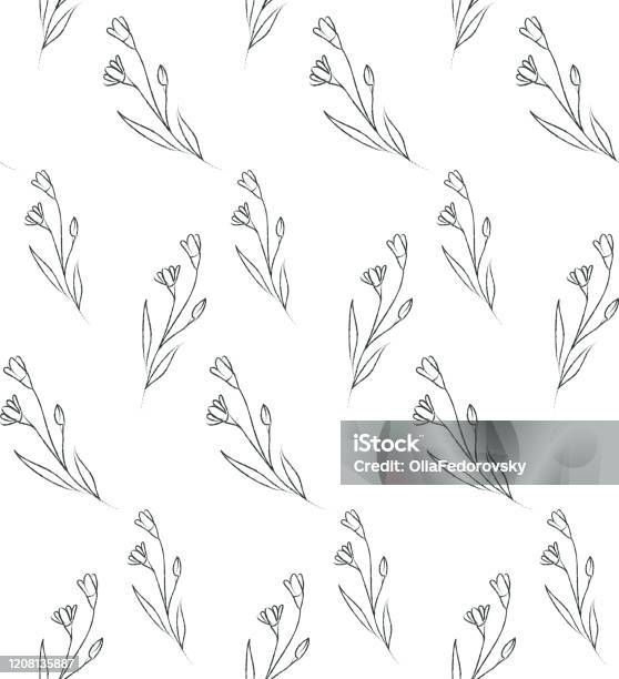 Delicate Line Pattern Delicate Line Drawing Vector Floral Seamloess Pattern Stock ...