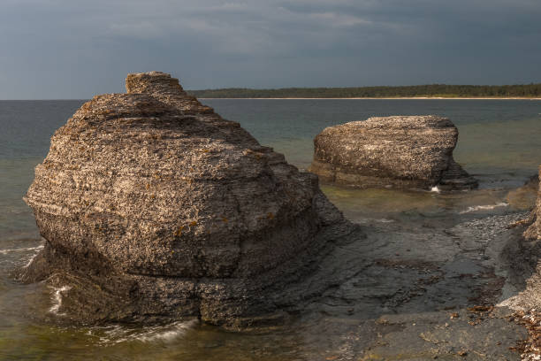 istock Byrum raukar on Swedish Island Oland: Spectacular limestone formations 1208140005
