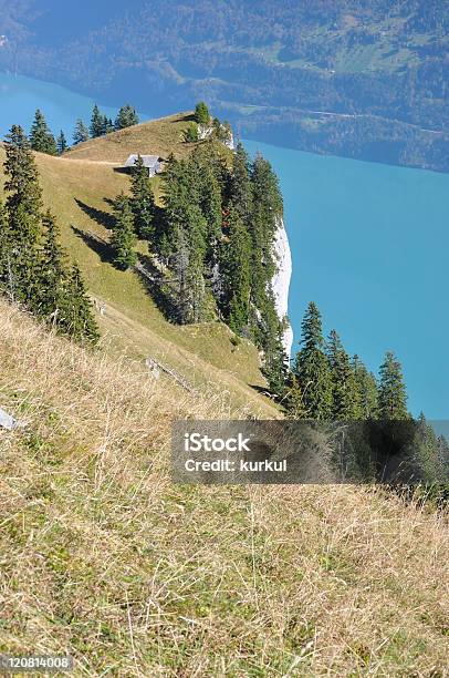 Bernese Alpi - Fotografie stock e altre immagini di Albero - Albero, Alpi, Alpi Bernesi