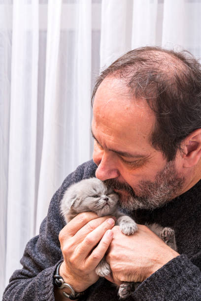 istock Man and real cat love, Newborn Scottish fold kitten 1208142353