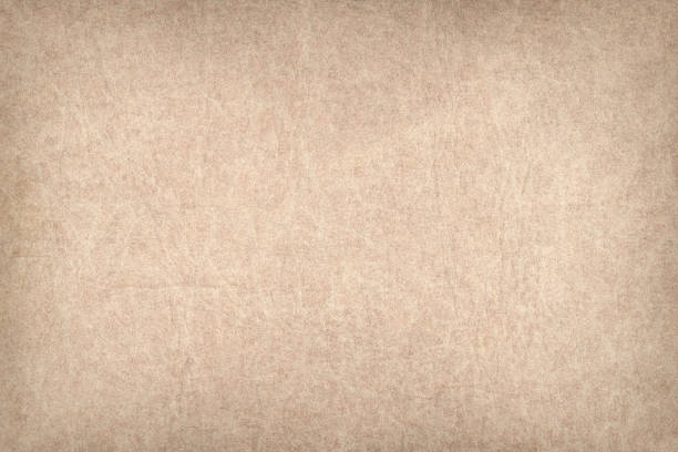 высокое разрешение античная кожа животных пергамент грубый wizened виньетка гранж текстура - vellum document retro revival manuscript стоковые фото и изображения