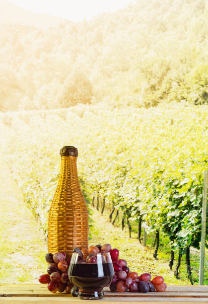 istock Bottled wine on the background of the vineyard 1208143675