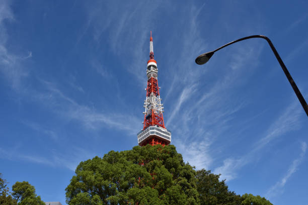 istock Tower and blue sky in Tokyo 1208144322