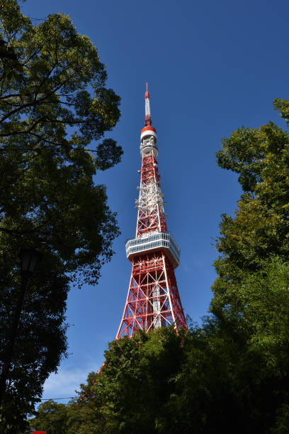 istock Tower and blue sky in Tokyo 1208144553