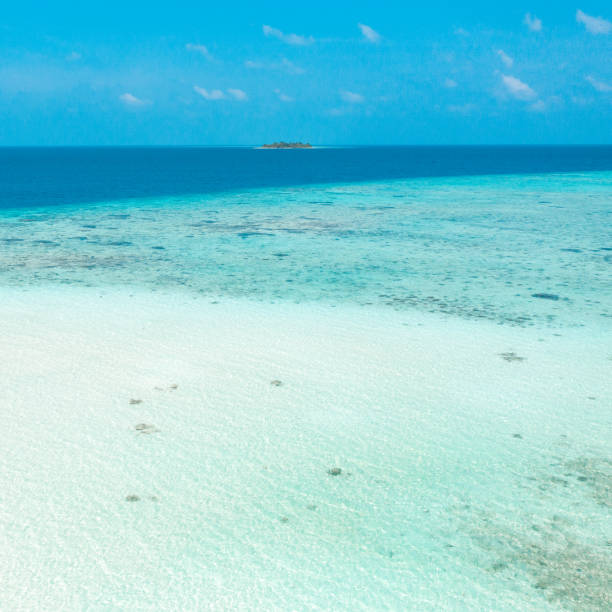 istock Tropical island in the ocean 1208144596