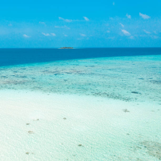 istock Tropical island in the ocean 1208144716