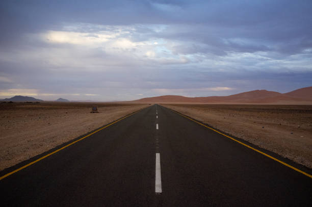 istock Road to Sossusvlei, Namib desert 1208146516